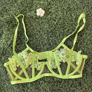 Honey Birdette Amelie Lime Bra
